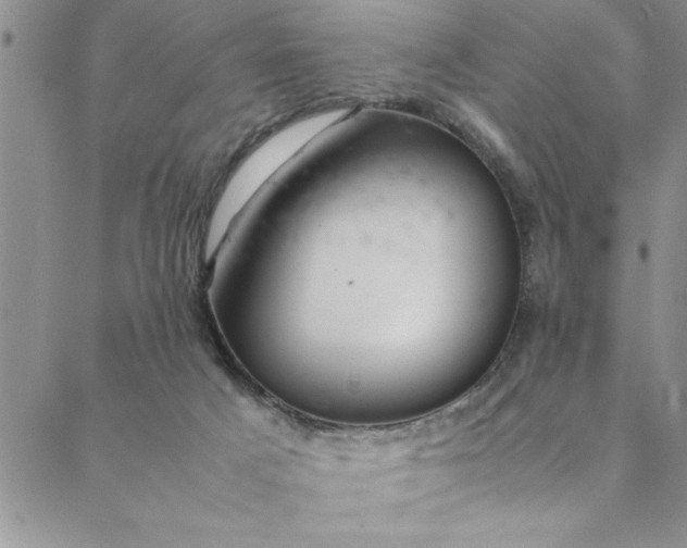 X0000088660025200706081714