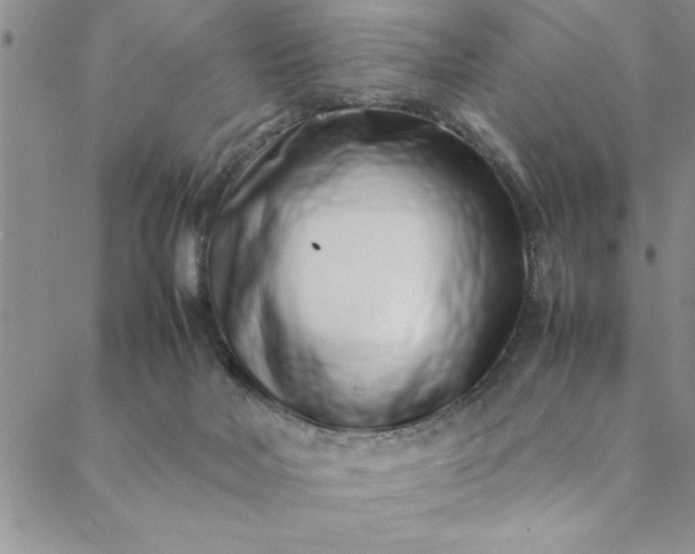 X0000088660026200706081714