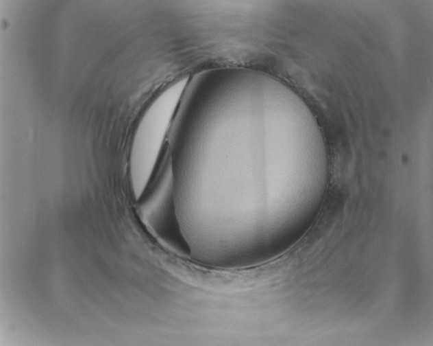 X0000088660027200706081714