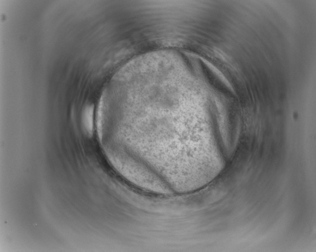 X0000088660028200706081714