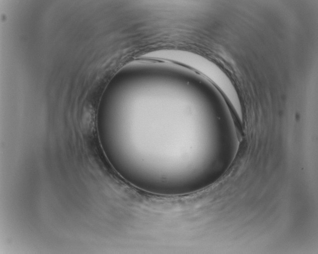 X0000088660029200706081714