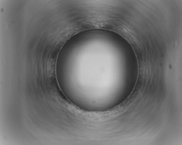 X0000088660030200706081714