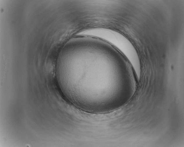 X0000088660031200706081714