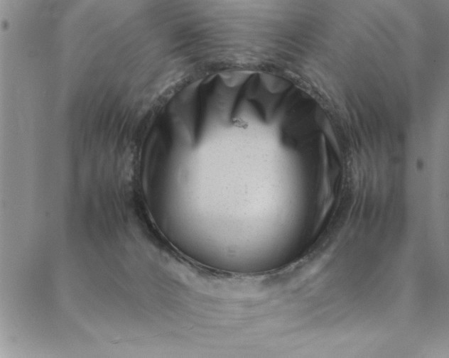 X0000088660032200706081714