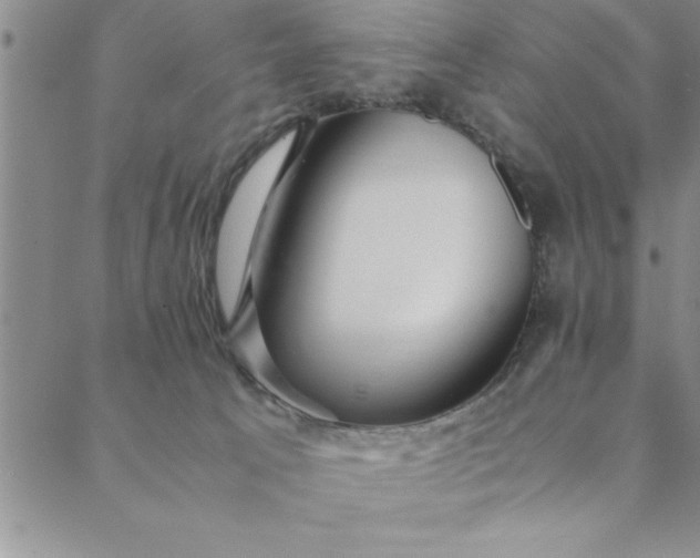 X0000088660033200706081714