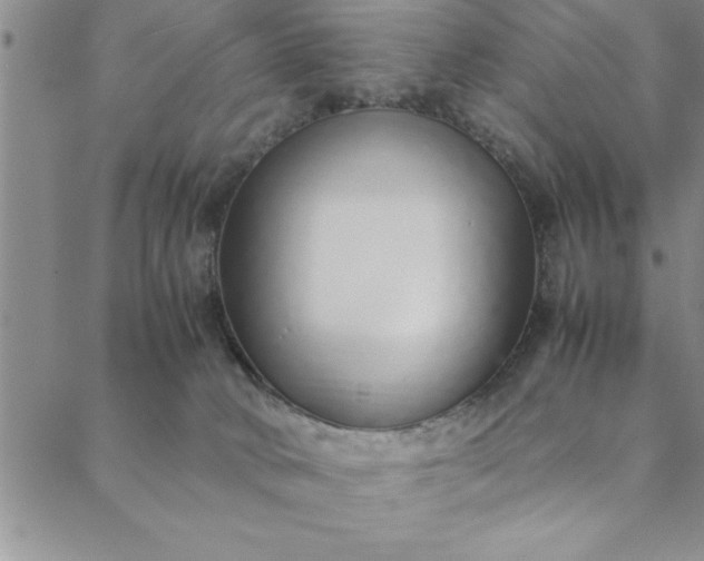 X0000088660034200706081714