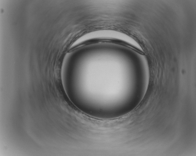 X0000088660035200706081714