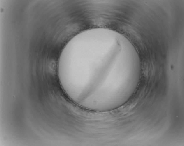 X0000088660036200706081714