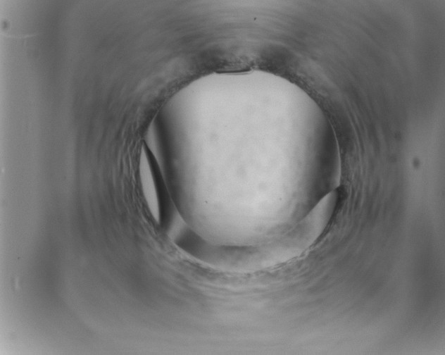 X0000088660037200706081714