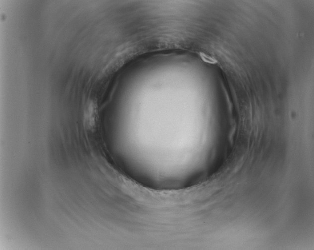 X0000088660038200706081714