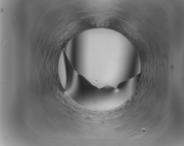 X0000088660039200706081714