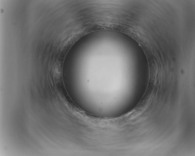 X0000088660040200706081714