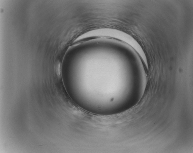 X0000088660041200706081714