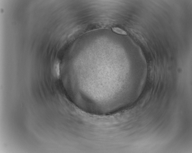 X0000088660042200706081714