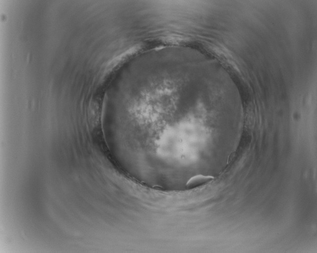 X0000088660043200706081713