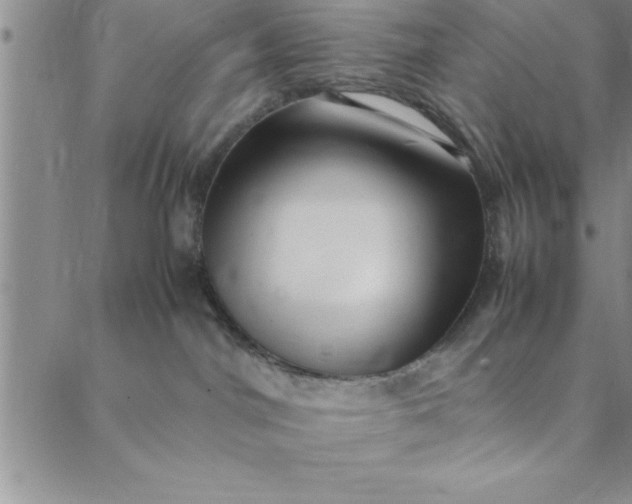 X0000088660044200706081713