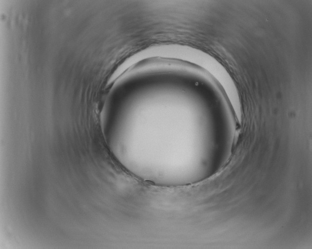 X0000088660045200706081713