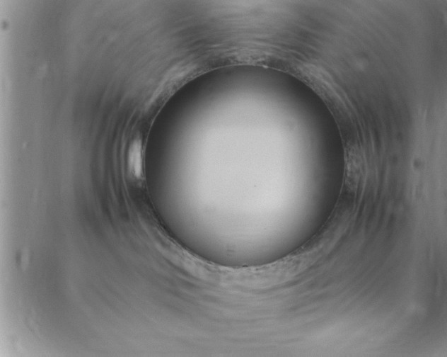 X0000088660046200706081713