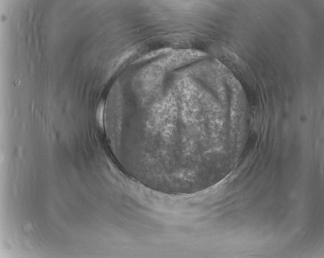 X0000088660047200706081713