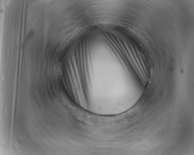 X0000088660048200706081713