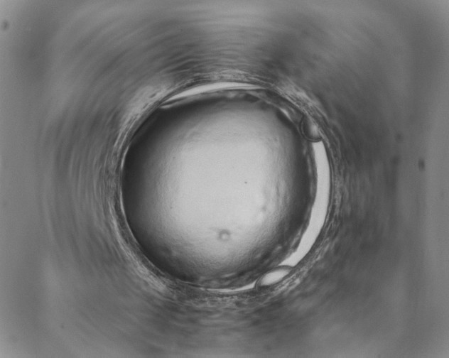 X0000088660049200706081713