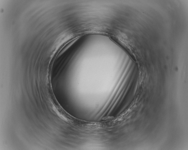 X0000088660050200706081713