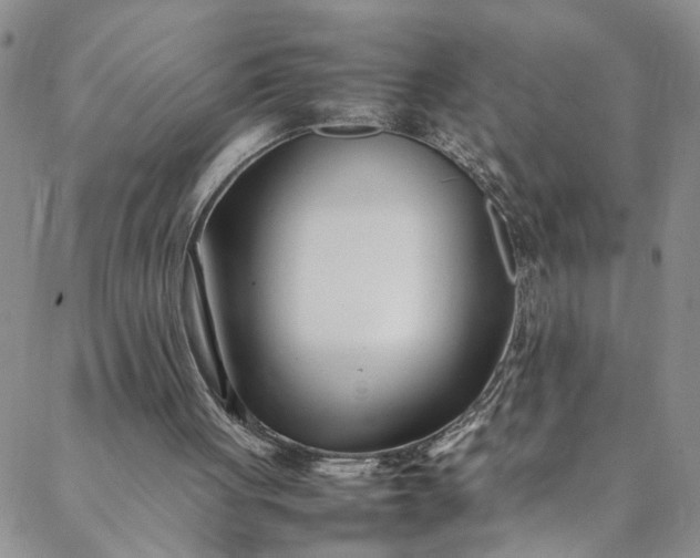 X0000088660051200706081713