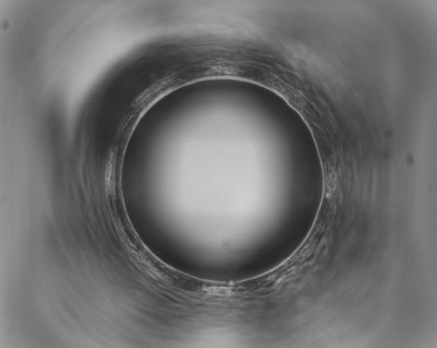 X0000088660052200706081713