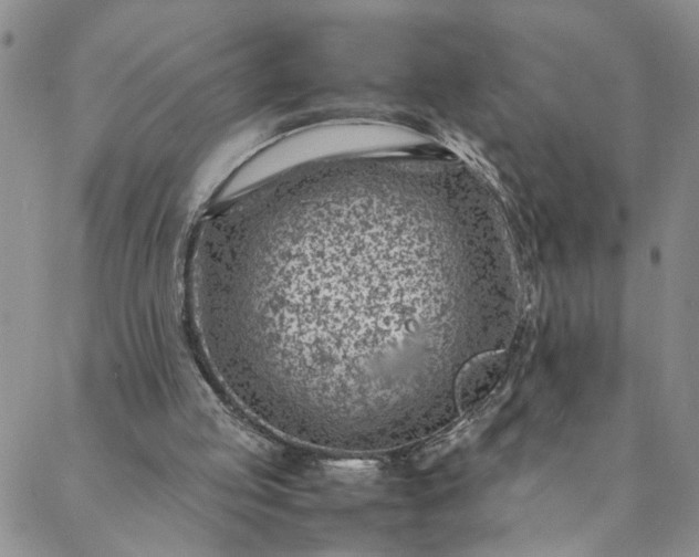 X0000088660053200706081713