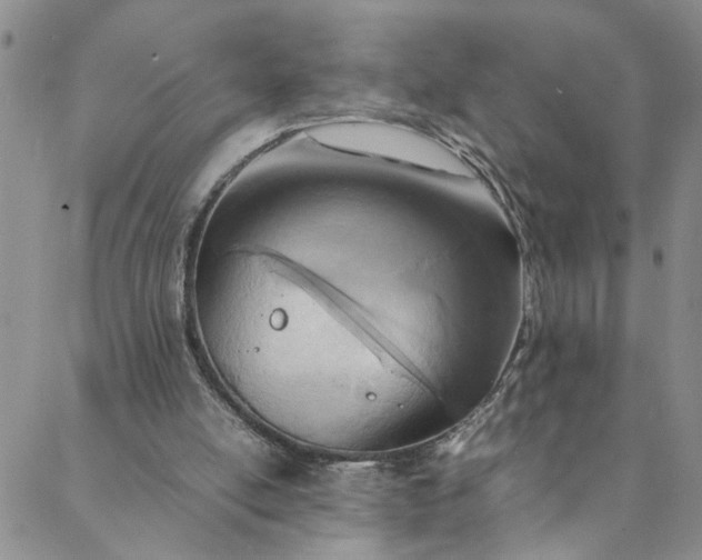 X0000088660054200706081713