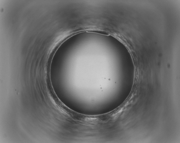 X0000088660055200706081713