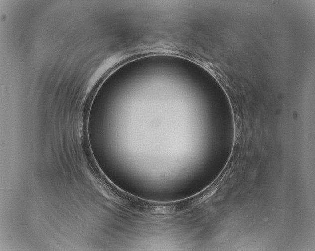 X0000088660056200706081713