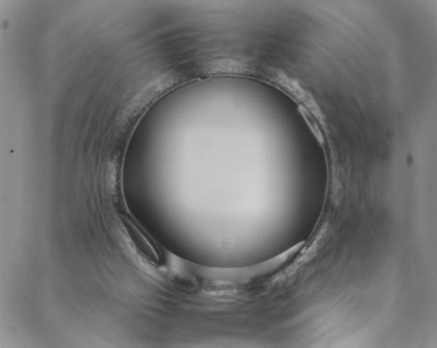 X0000088660057200706081713