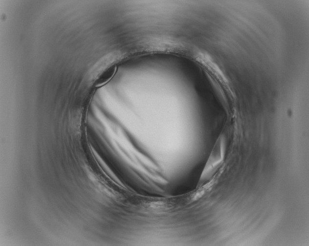 X0000088660058200706081713