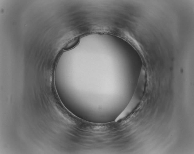 X0000088660059200706081713