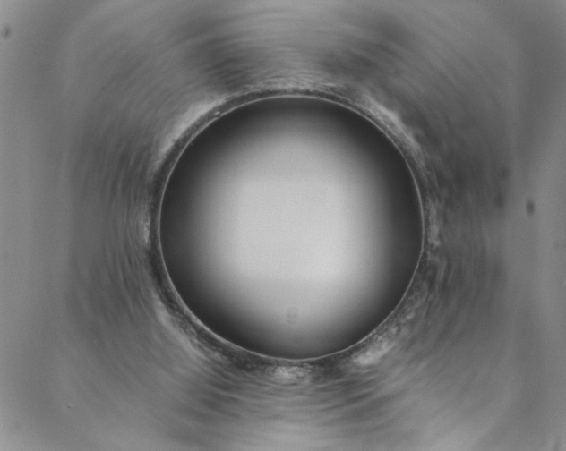 X0000088660060200706081713