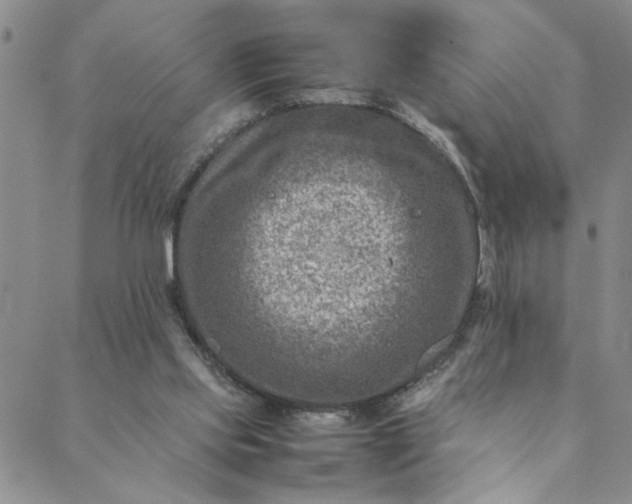 X0000088660061200706081713