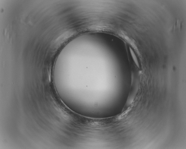 X0000088660062200706081713