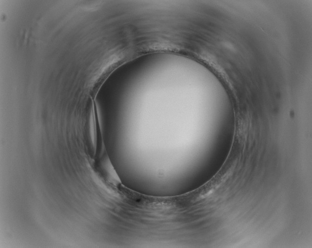 X0000088660063200706081713