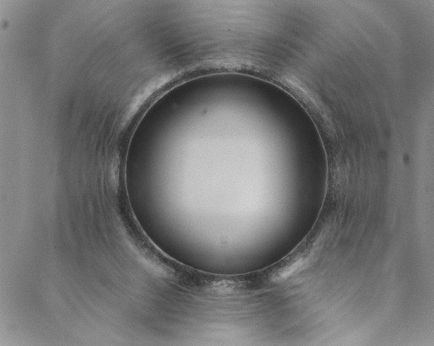 X0000088660064200706081713