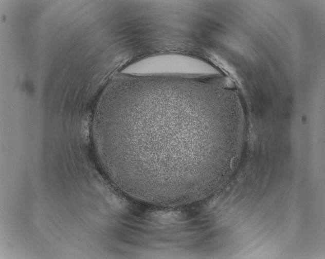 X0000088660065200706081713