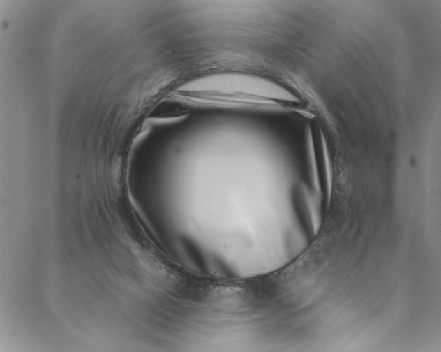 X0000088660066200706081713