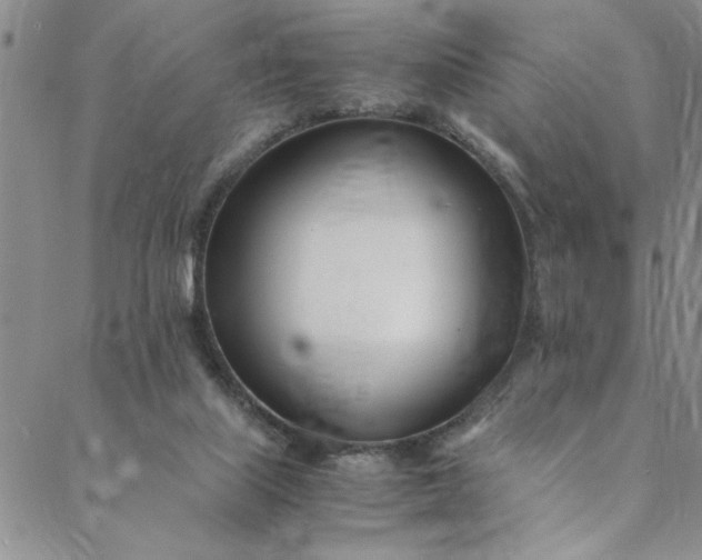 X0000088660067200706081713