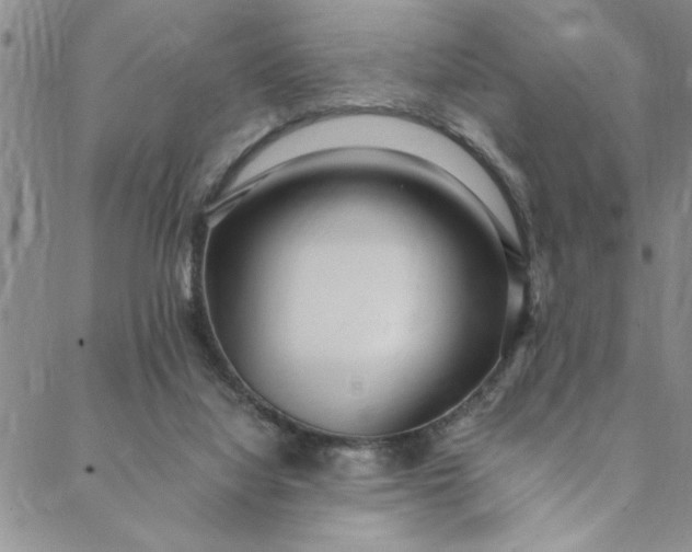 X0000088660068200706081713