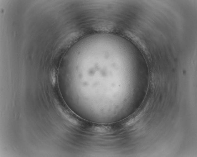 X0000088660069200706081713