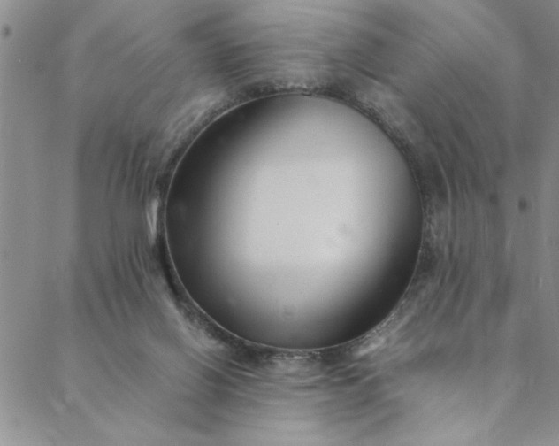 X0000088660070200706081713