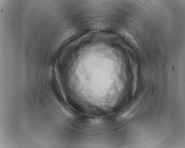 X0000088660071200706081713