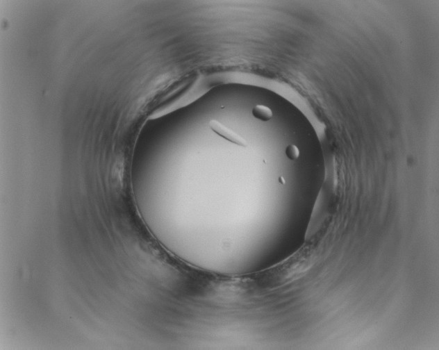 X0000088660072200706081713