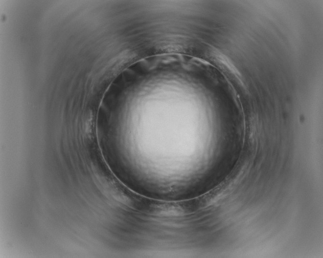 X0000088660073200706081713