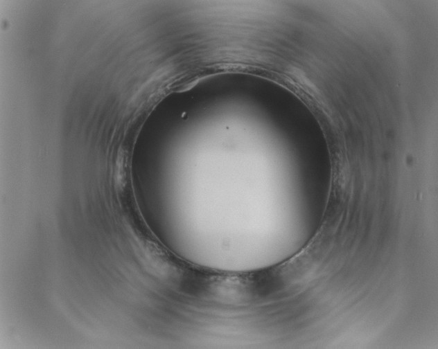 X0000088660074200706081713